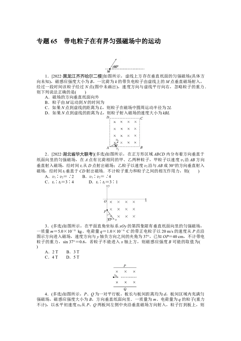 专题65带电粒子在有界匀强磁场中的运动_4.2025物理总复习_2023年新高复习资料_专项复习_2023《微专题&middot;小练习》&middot;物理&middot;新教材&middot;XL-5