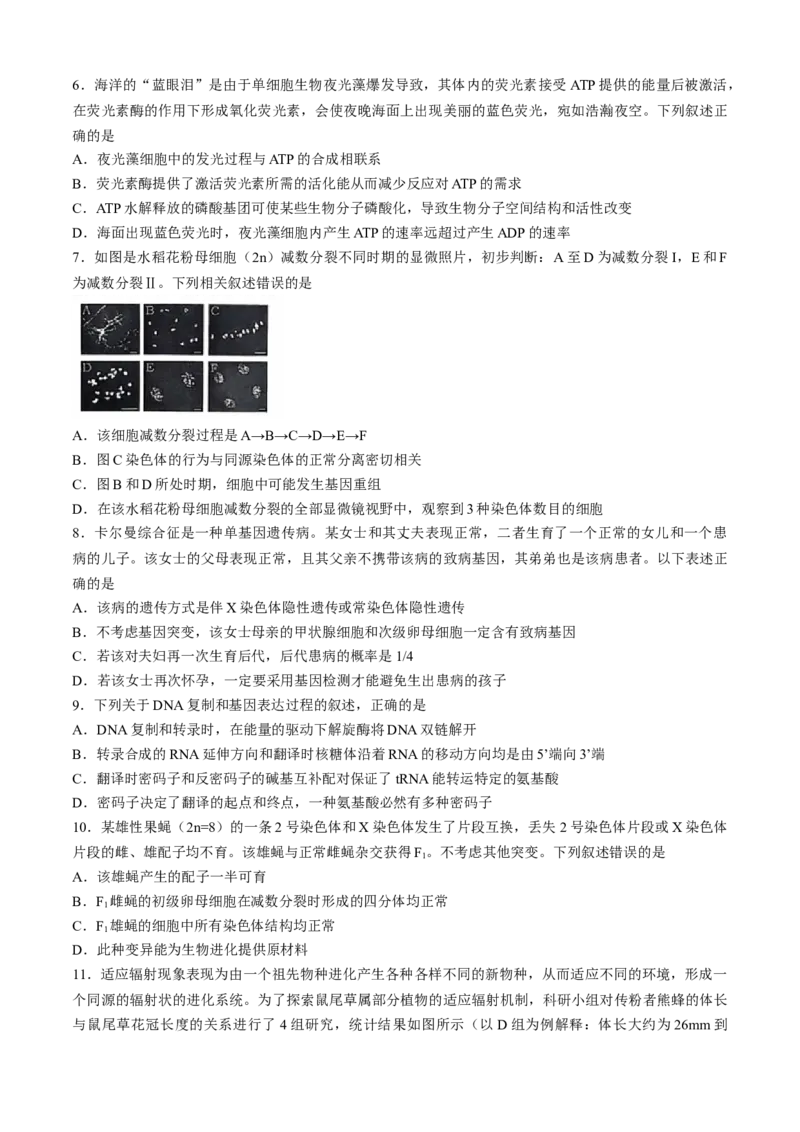 安徽江淮十校2025届高三第二次联考生物试题+答案_A1502026各地模拟卷（超值！）_11月_241116安徽省江淮十校2025届高三第二次联考（全科）