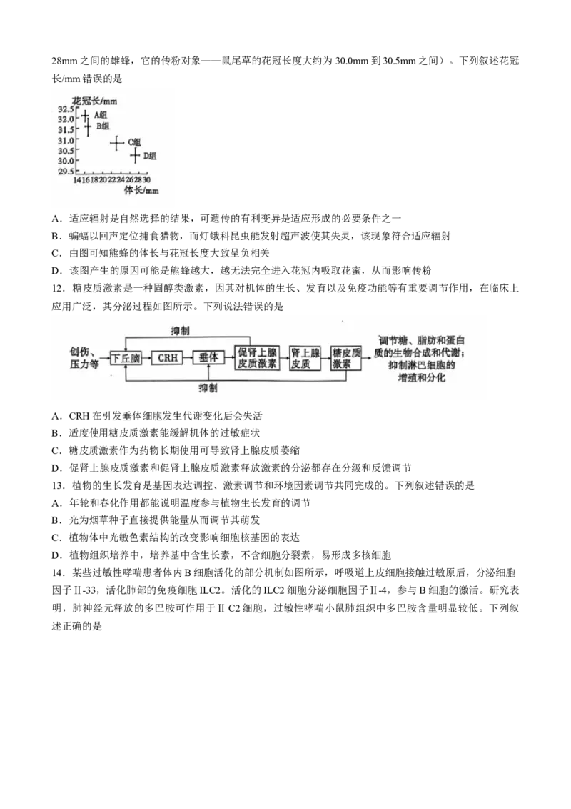 安徽江淮十校2025届高三第二次联考生物试题+答案_A1502026各地模拟卷（超值！）_11月_241116安徽省江淮十校2025届高三第二次联考（全科）