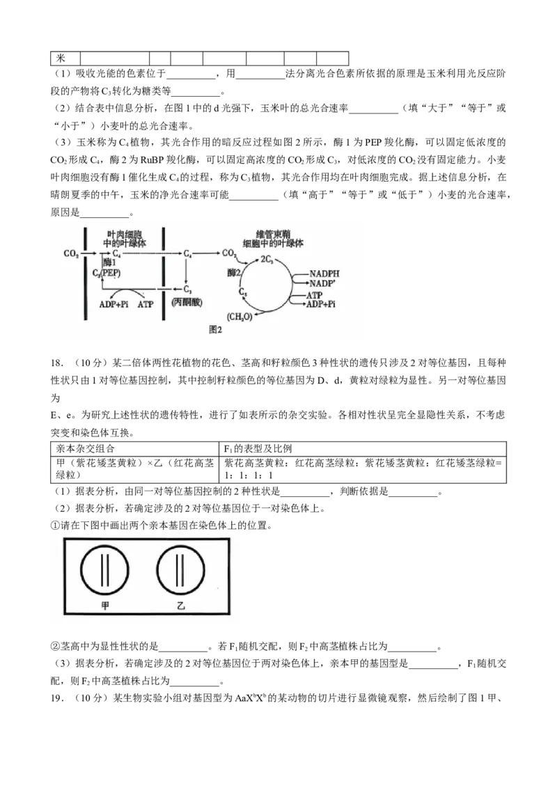 安徽江淮十校2025届高三第二次联考生物试题+答案_A1502026各地模拟卷（超值！）_11月_241116安徽省江淮十校2025届高三第二次联考（全科）