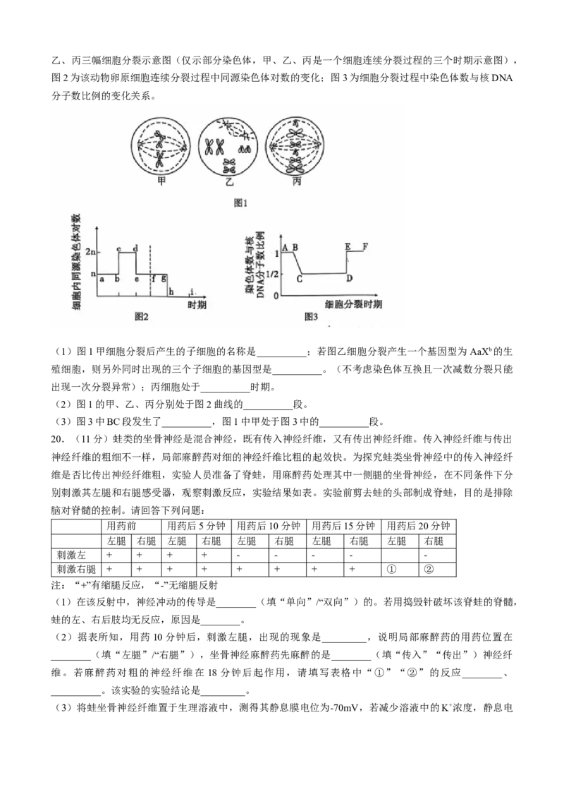 安徽江淮十校2025届高三第二次联考生物试题+答案_A1502026各地模拟卷（超值！）_11月_241116安徽省江淮十校2025届高三第二次联考（全科）