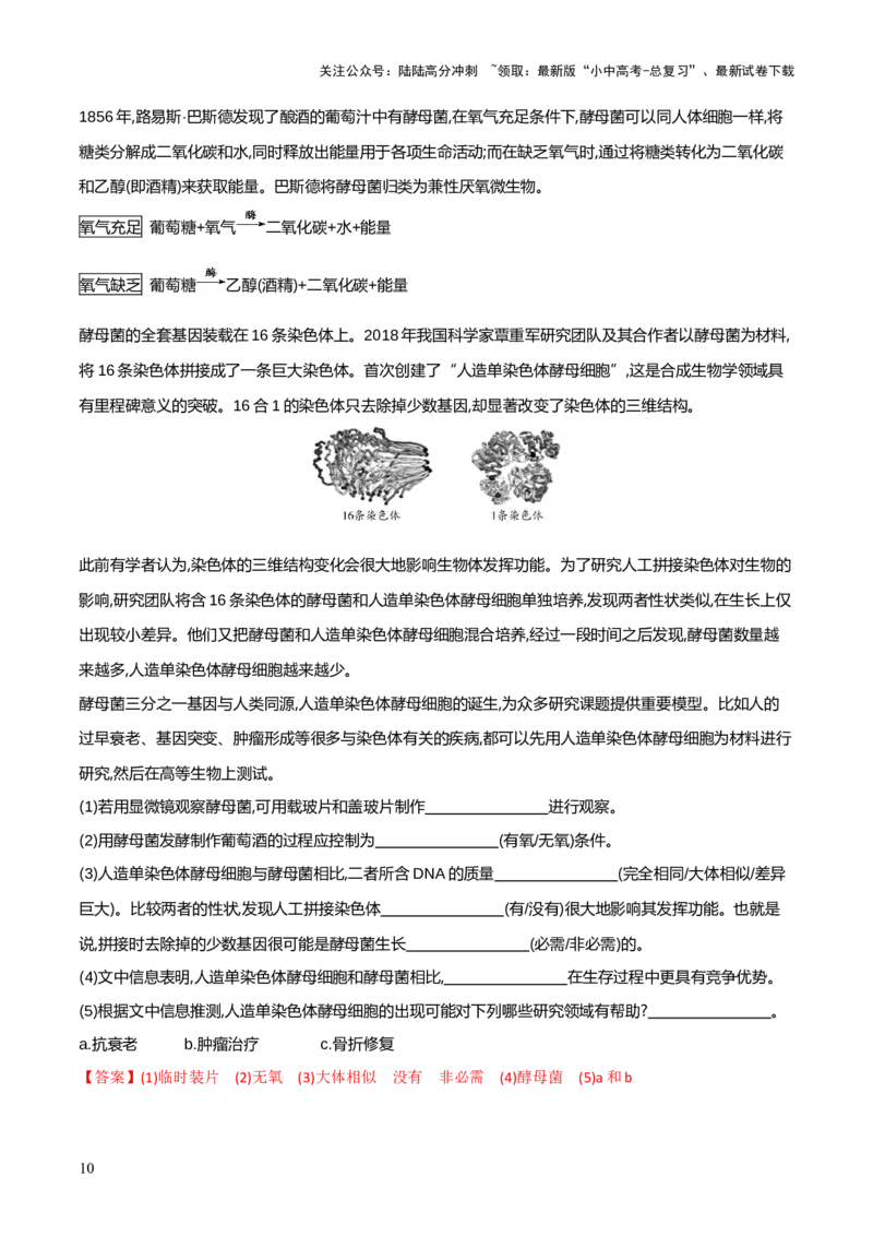 模块七现代生物技术的应用（测试）（解析版）_02中考总复习（2026版更新中）_08-生物-中考总复习_2024年中考复习资料_一轮复习_❤2024年中考生物一轮复习讲练测（全国通用）_练习