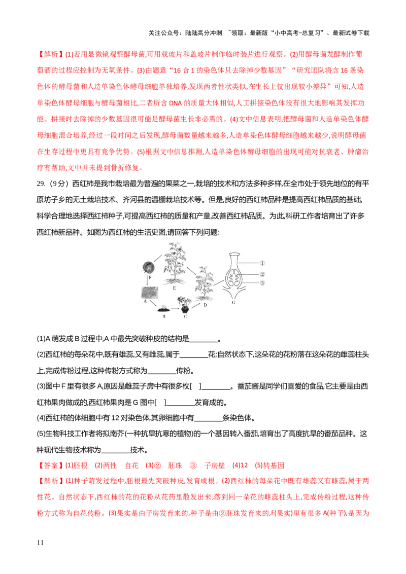 模块七现代生物技术的应用（测试）（解析版）_02中考总复习（2026版更新中）_08-生物-中考总复习_2024年中考复习资料_一轮复习_❤2024年中考生物一轮复习讲练测（全国通用）_练习