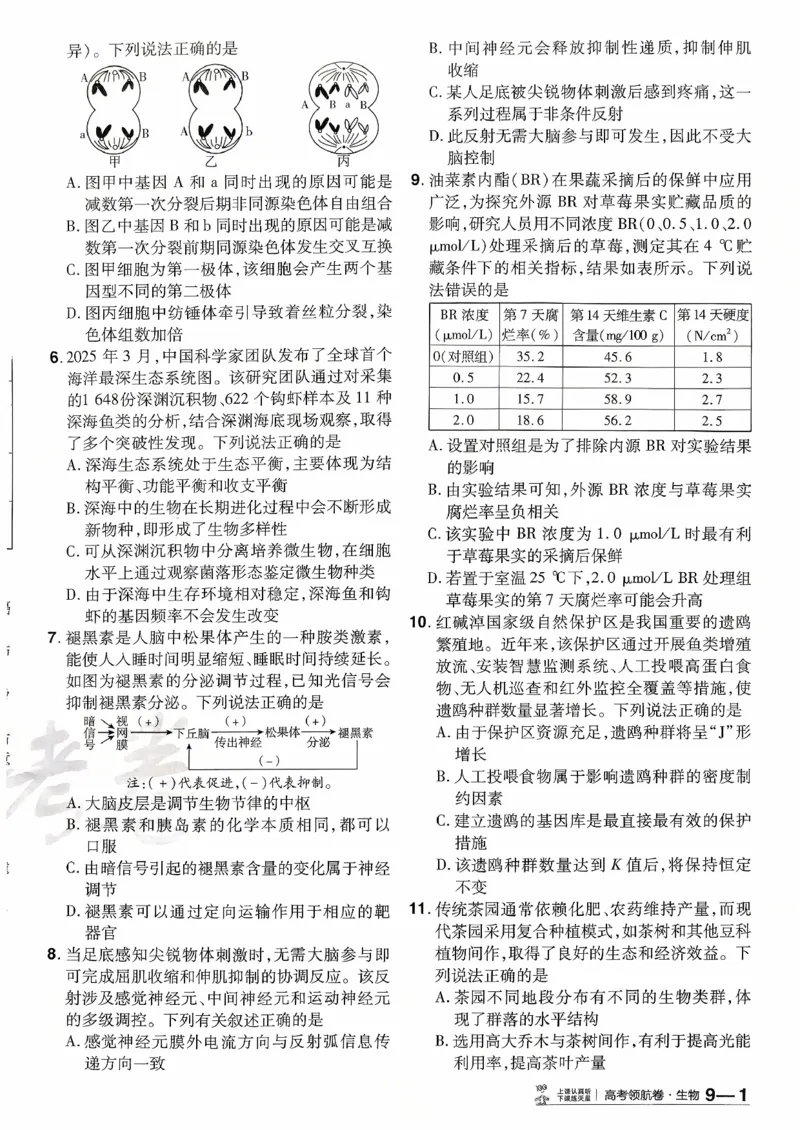 2026金考卷百校联盟高考领航卷生物试卷九（新教材不定项选择题版）_2026版金考卷&middot;百校联盟高考领航卷（全科）_2026版金考卷&middot;百校联盟高考领航卷生物（单选+不定项）