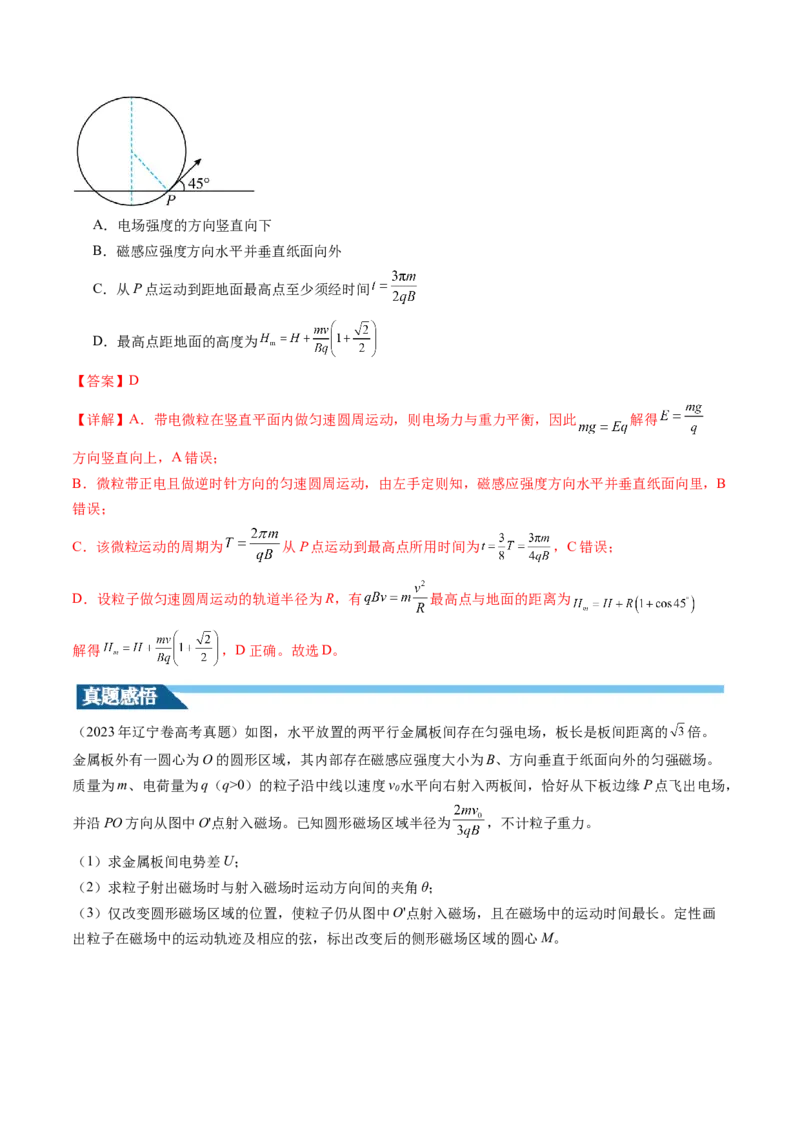 第53讲带电粒子在复合场中的运动（讲义）（解析版）_4.2025物理总复习_2024年新高考资料_1.2024一轮复习_2024年高考物理一轮复习讲练测（新教材新高考）