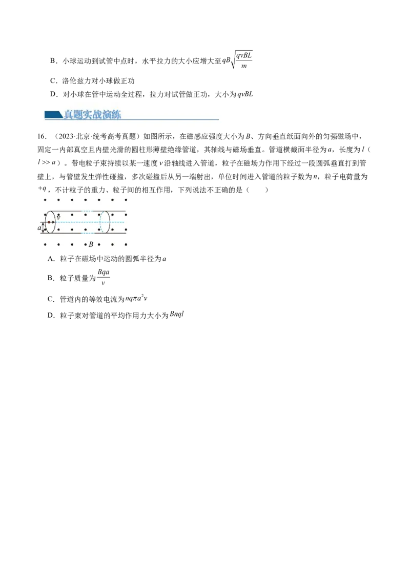 第50讲磁场对运动电荷的作用（练习）（原卷版）_4.2025物理总复习_2024年新高考资料_1.2024一轮复习_2024年高考物理一轮复习讲练测（新教材新高考）_第50讲磁场对运动电荷的作用（练习）