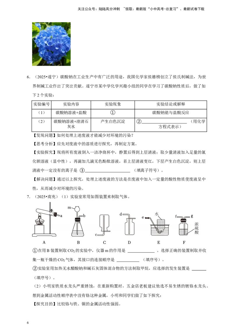 备考2026年中考化学一轮复习科学探究题（含解析）_02中考总复习（2026版更新中）_05-化学-中考总复习_2026年中考复习（更新中）_备考2026年中考化学一轮复习--题型专题