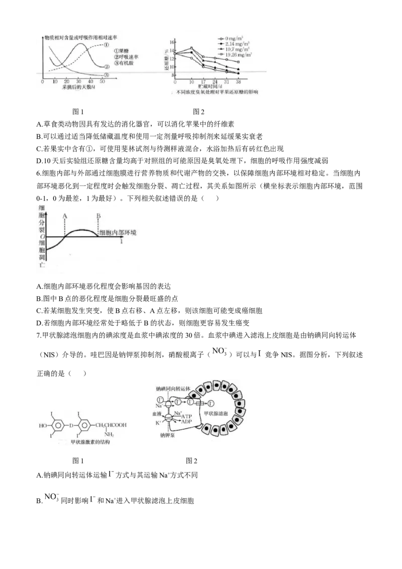 福建省龙岩市一级联盟校2024-2025学年高三上学期11月期中联考生物试题_A1502026各地模拟卷（超值！）_11月_241112福建省龙岩市一级校联盟2024-2025学年高三上学期11月期中考试（全科）