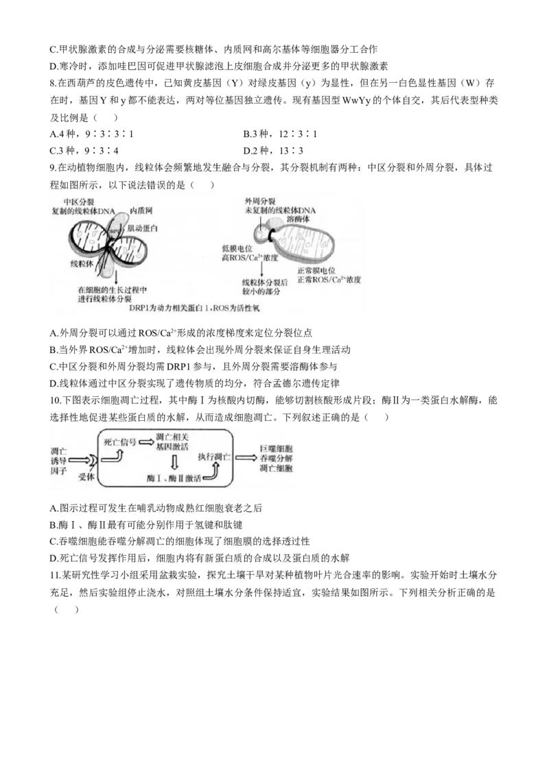 福建省龙岩市一级联盟校2024-2025学年高三上学期11月期中联考生物试题_A1502026各地模拟卷（超值！）_11月_241112福建省龙岩市一级校联盟2024-2025学年高三上学期11月期中考试（全科）