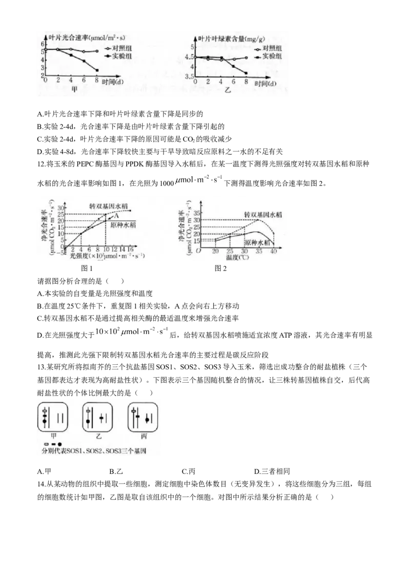 福建省龙岩市一级联盟校2024-2025学年高三上学期11月期中联考生物试题_A1502026各地模拟卷（超值！）_11月_241112福建省龙岩市一级校联盟2024-2025学年高三上学期11月期中考试（全科）
