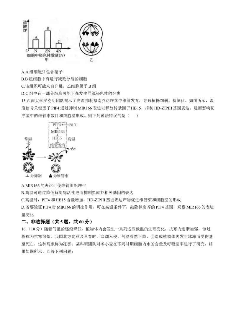 福建省龙岩市一级联盟校2024-2025学年高三上学期11月期中联考生物试题_A1502026各地模拟卷（超值！）_11月_241112福建省龙岩市一级校联盟2024-2025学年高三上学期11月期中考试（全科）