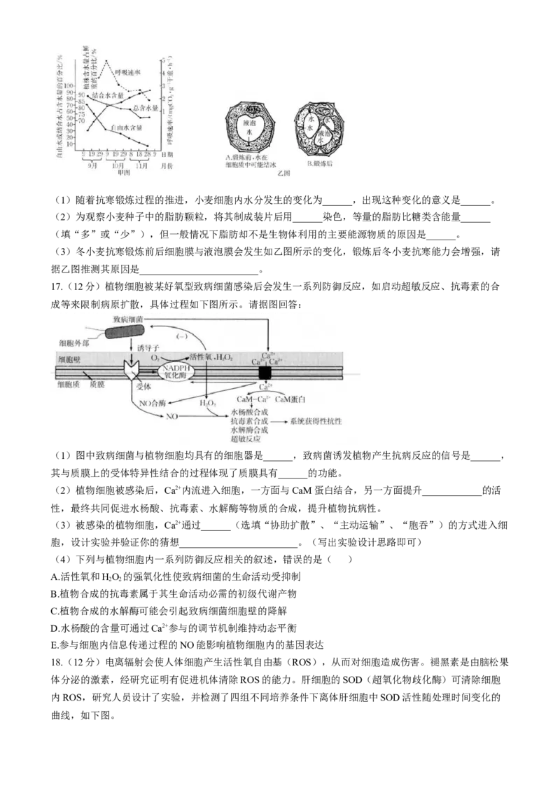福建省龙岩市一级联盟校2024-2025学年高三上学期11月期中联考生物试题_A1502026各地模拟卷（超值！）_11月_241112福建省龙岩市一级校联盟2024-2025学年高三上学期11月期中考试（全科）