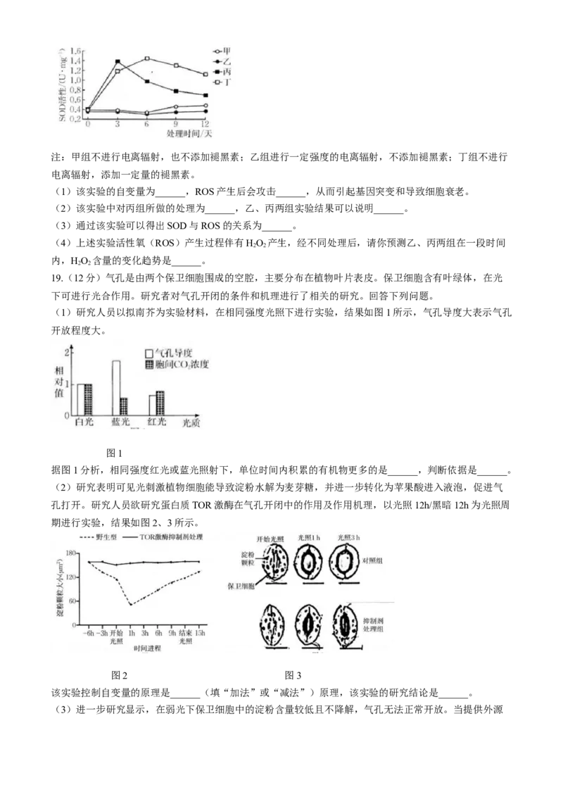 福建省龙岩市一级联盟校2024-2025学年高三上学期11月期中联考生物试题_A1502026各地模拟卷（超值！）_11月_241112福建省龙岩市一级校联盟2024-2025学年高三上学期11月期中考试（全科）