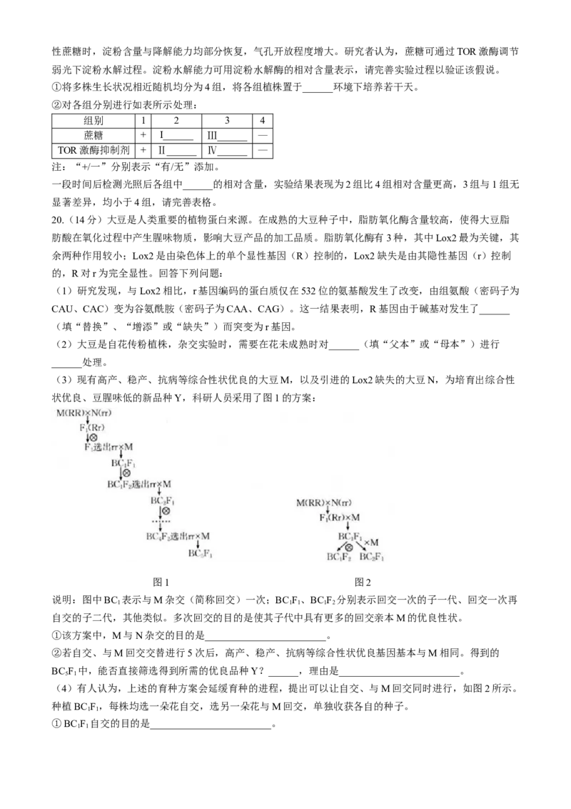 福建省龙岩市一级联盟校2024-2025学年高三上学期11月期中联考生物试题_A1502026各地模拟卷（超值！）_11月_241112福建省龙岩市一级校联盟2024-2025学年高三上学期11月期中考试（全科）