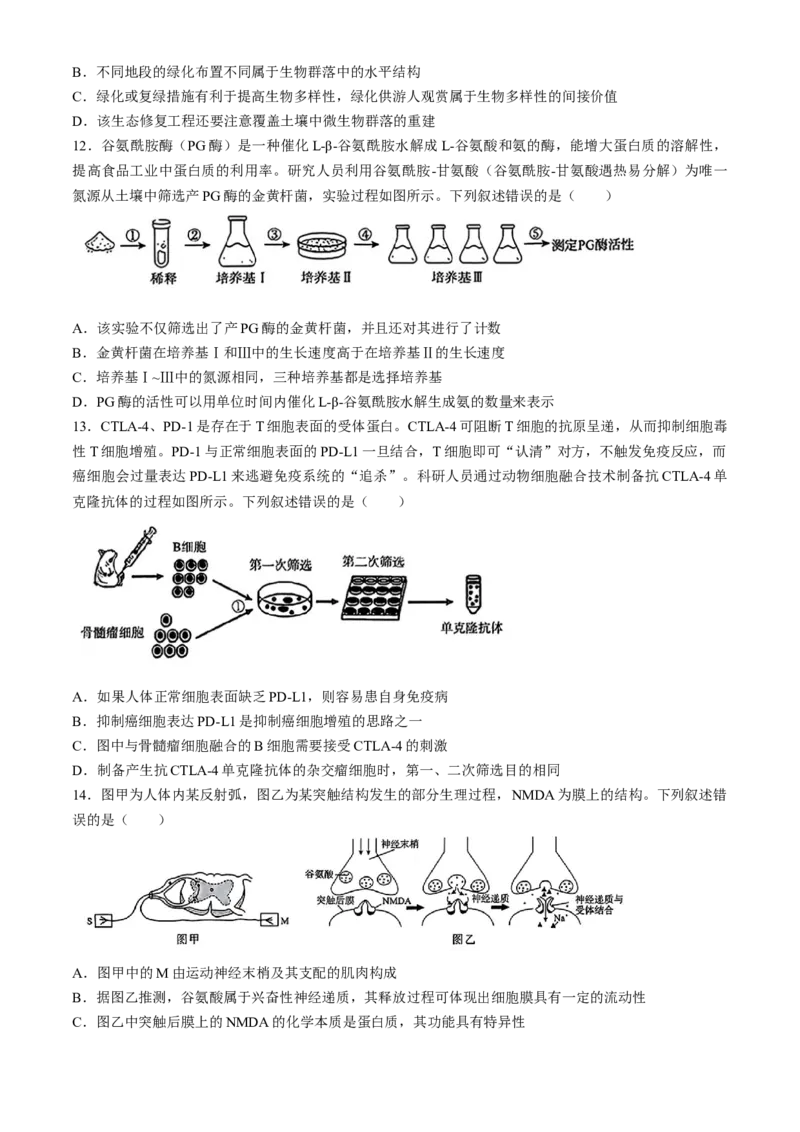 河南青桐鸣2025届高三9月联考生物Word版含解析_A1502026各地模拟卷（超值！）_9月_240902河南青桐鸣2025届高三9月联考