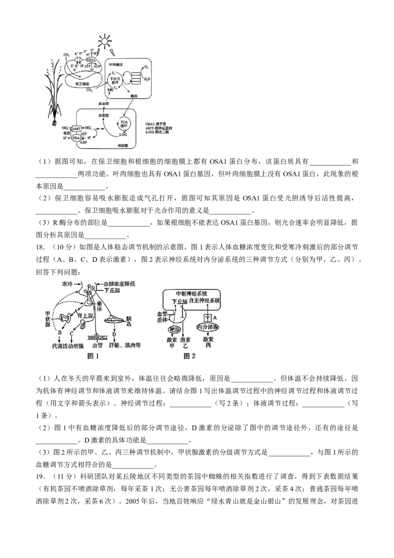 河南青桐鸣2025届高三9月联考生物Word版含解析_A1502026各地模拟卷（超值！）_9月_240902河南青桐鸣2025届高三9月联考