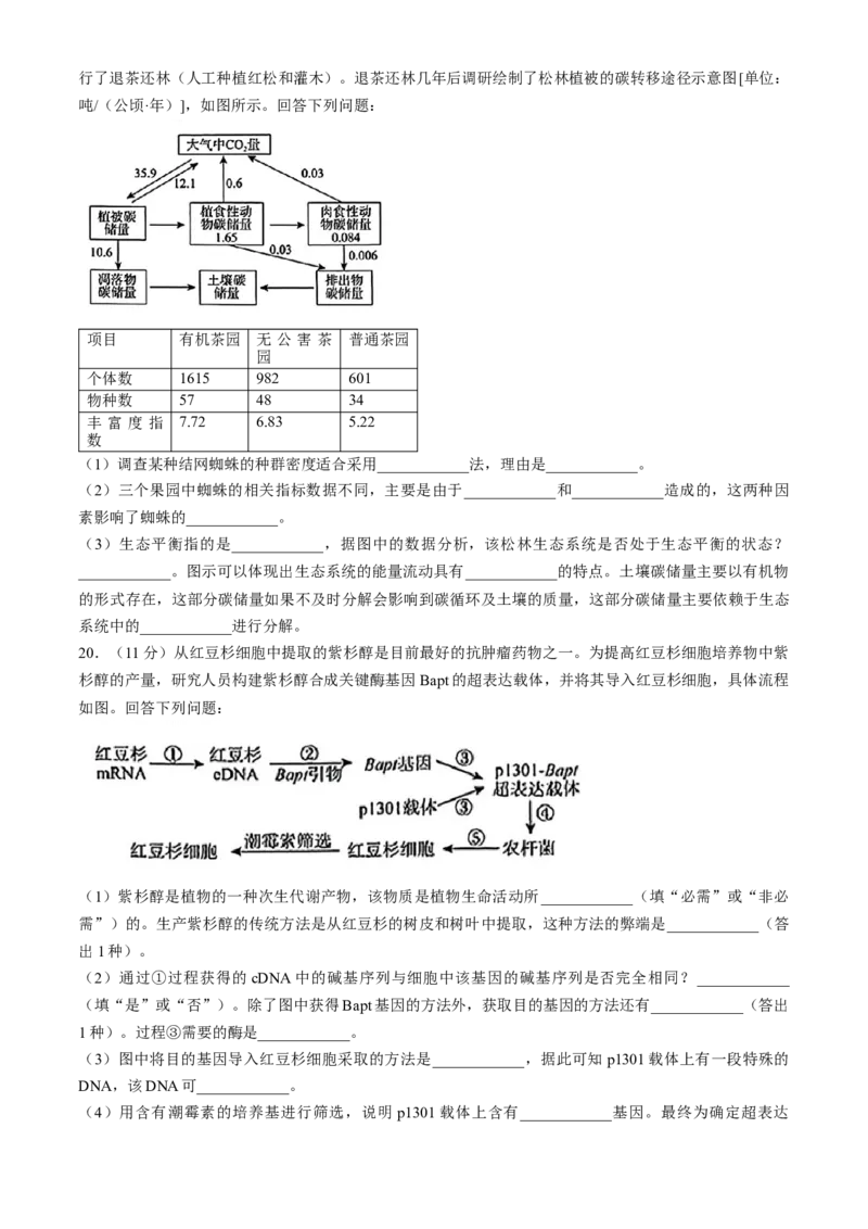 河南青桐鸣2025届高三9月联考生物Word版含解析_A1502026各地模拟卷（超值！）_9月_240902河南青桐鸣2025届高三9月联考
