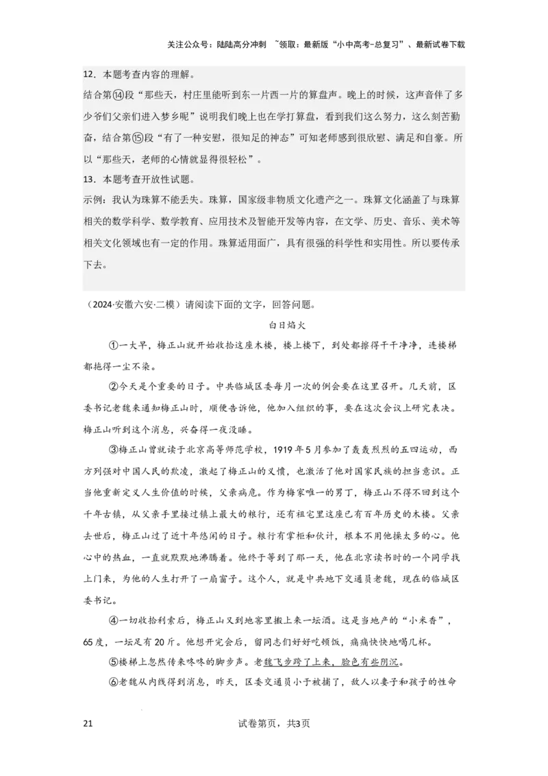 人物描写及作用（专项训练）（解析版）_02中考总复习（2026版更新中）_01-语文-中考总复习_2025年中考资料_备战2025年中考语文一轮复习记叙文阅读课件+专项练习_专项练习