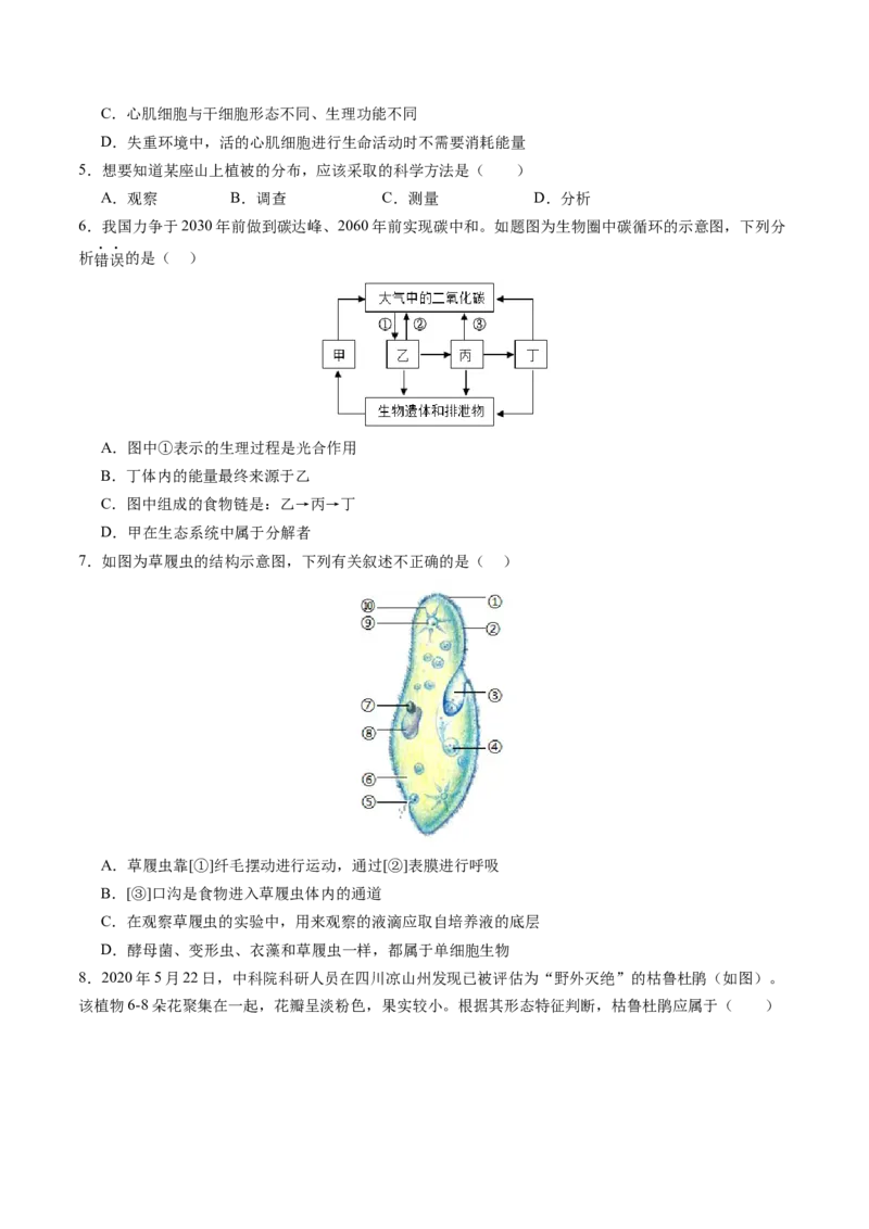 黄金卷02（北京专用）（考试版）(1)_北京初中期末题_C605-京七八九_B京生物七八九_北京八下生物_黄金卷02（北京专用）-赢在中考黄金8卷备战2024年中考生物模拟卷（北京专用）