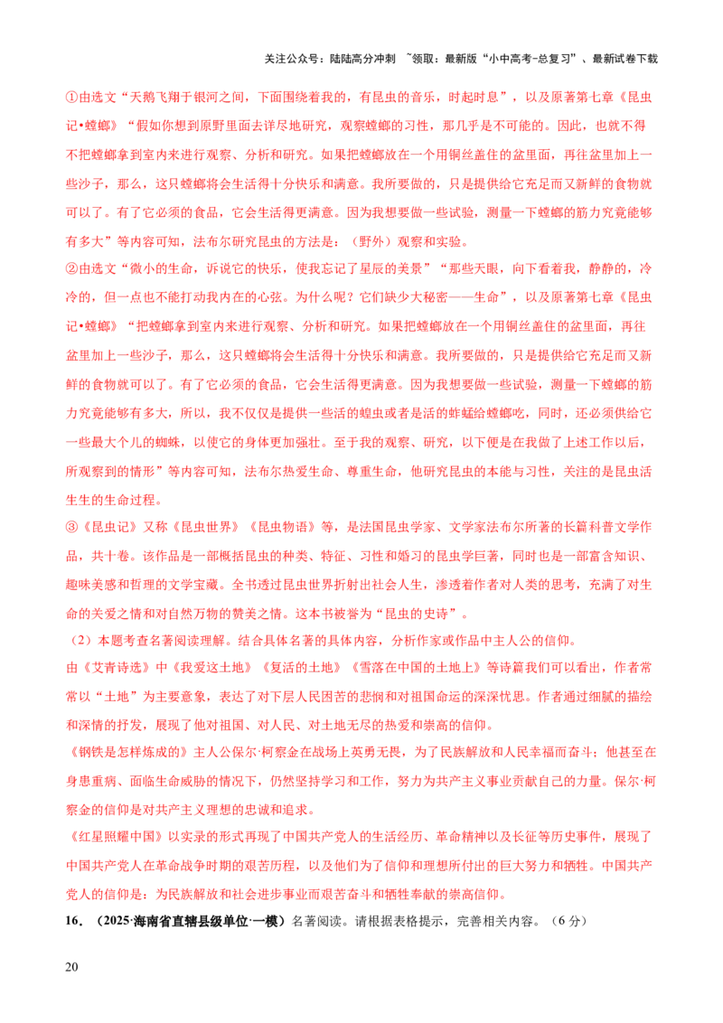 名著阅读综合测试卷（解析版）_02中考总复习（2026版更新中）_01-语文-中考总复习_2025年中考资料_2025中考二轮课件ppt+讲义+练习语文_测试