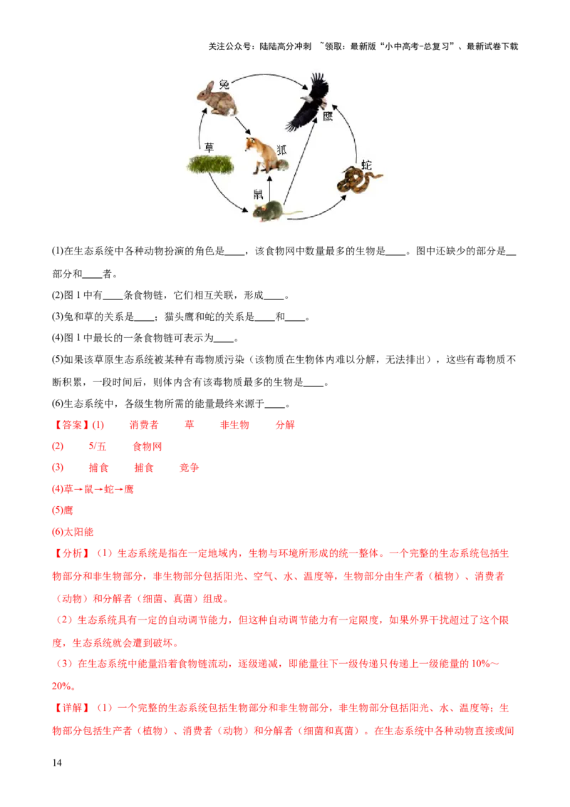 主题三生物与环境（测试）（解析版）_02中考总复习（2026版更新中）_08-生物-中考总复习_2025中考复习资料_2025中考二轮课件ppt+讲义+练习生物_测试