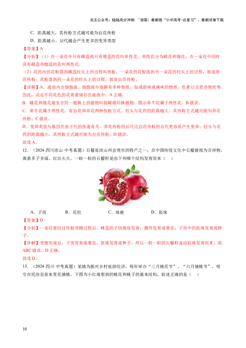 主题四植物的生活（讲练）（解析版）_02中考总复习（2026版更新中）_08-生物-中考总复习_2025中考复习资料_2025中考二轮课件ppt+讲义+练习生物_讲义+练习