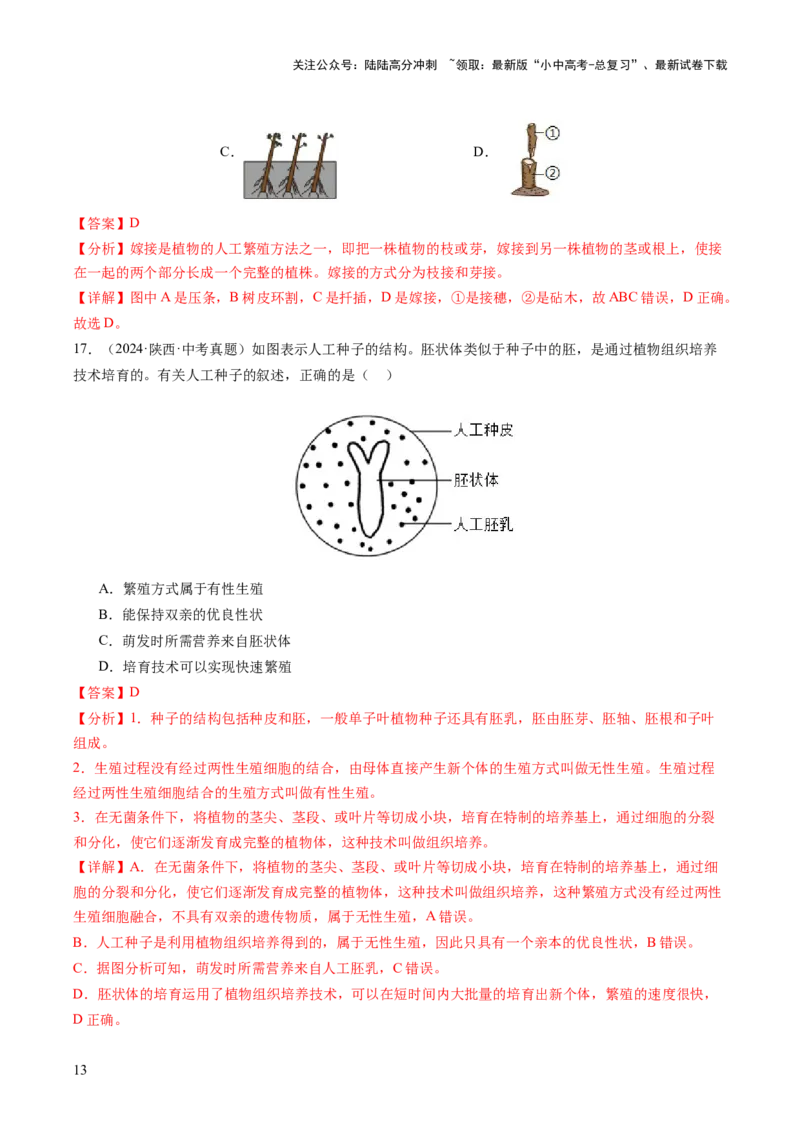 主题四植物的生活（讲练）（解析版）_02中考总复习（2026版更新中）_08-生物-中考总复习_2025中考复习资料_2025中考二轮课件ppt+讲义+练习生物_讲义+练习