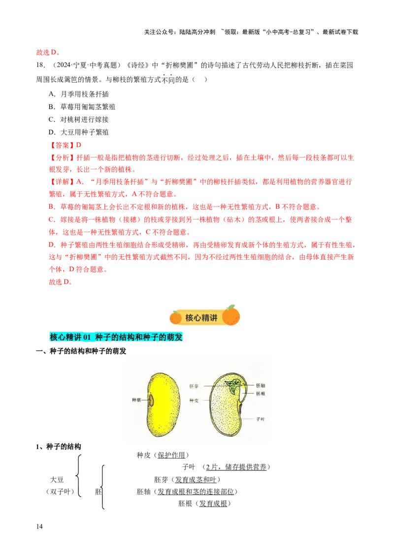 主题四植物的生活（讲练）（解析版）_02中考总复习（2026版更新中）_08-生物-中考总复习_2025中考复习资料_2025中考二轮课件ppt+讲义+练习生物_讲义+练习