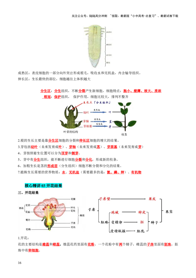 主题四植物的生活（讲练）（解析版）_02中考总复习（2026版更新中）_08-生物-中考总复习_2025中考复习资料_2025中考二轮课件ppt+讲义+练习生物_讲义+练习
