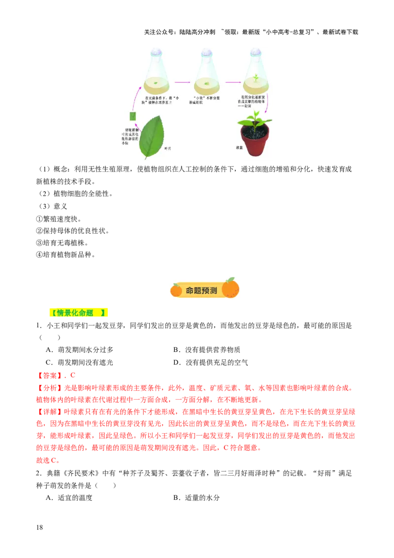 主题四植物的生活（讲练）（解析版）_02中考总复习（2026版更新中）_08-生物-中考总复习_2025中考复习资料_2025中考二轮课件ppt+讲义+练习生物_讲义+练习