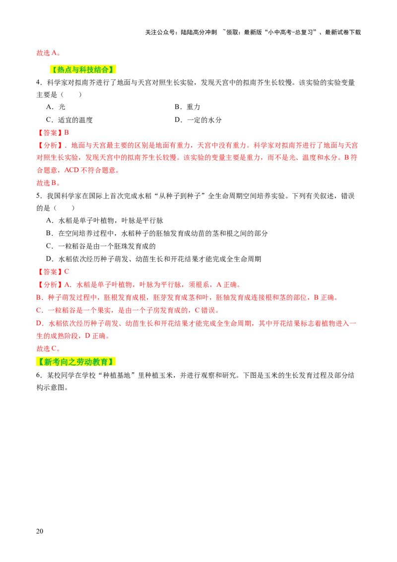 主题四植物的生活（讲练）（解析版）_02中考总复习（2026版更新中）_08-生物-中考总复习_2025中考复习资料_2025中考二轮课件ppt+讲义+练习生物_讲义+练习