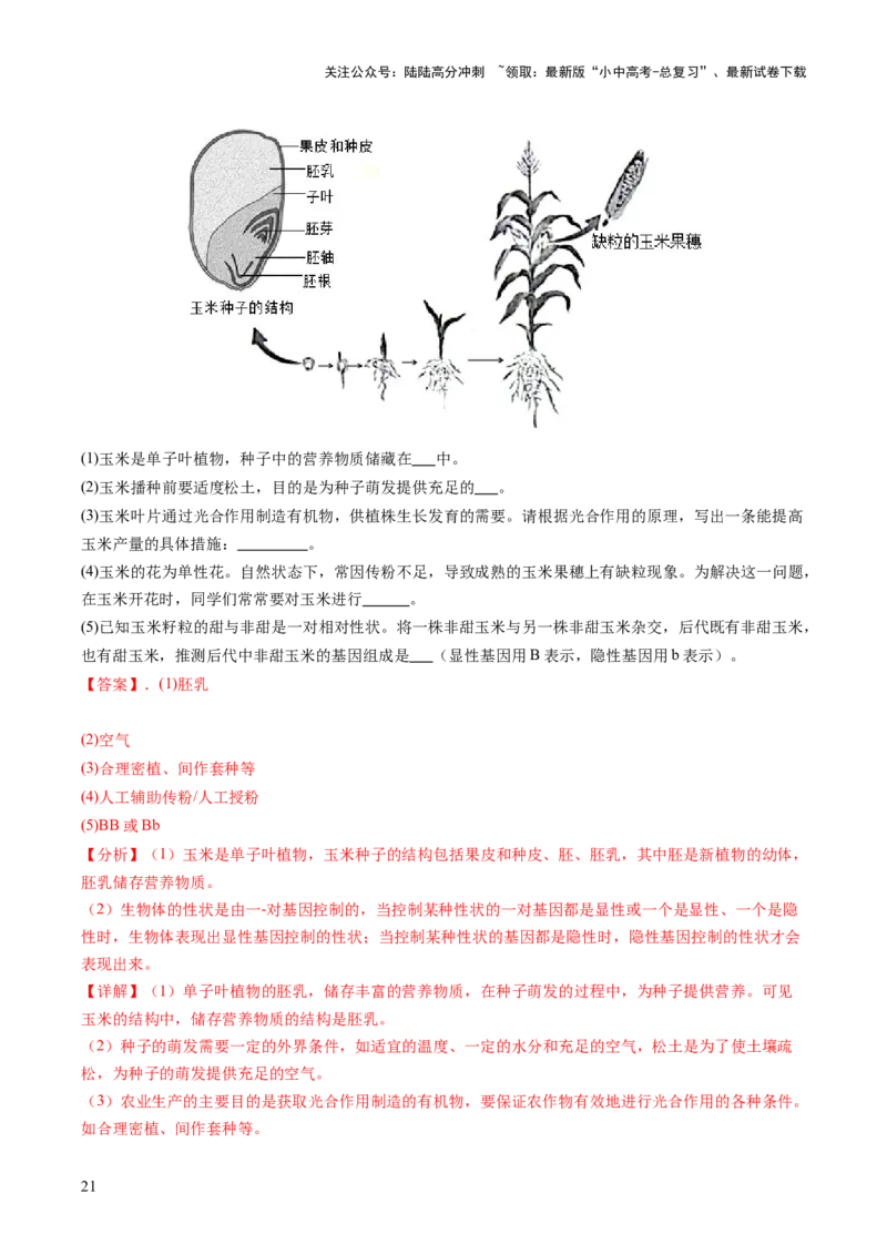 主题四植物的生活（讲练）（解析版）_02中考总复习（2026版更新中）_08-生物-中考总复习_2025中考复习资料_2025中考二轮课件ppt+讲义+练习生物_讲义+练习