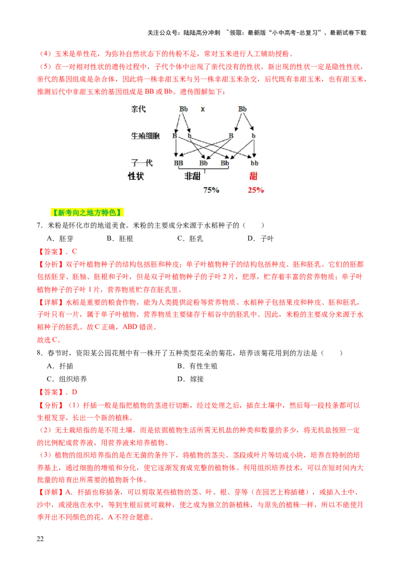 主题四植物的生活（讲练）（解析版）_02中考总复习（2026版更新中）_08-生物-中考总复习_2025中考复习资料_2025中考二轮课件ppt+讲义+练习生物_讲义+练习