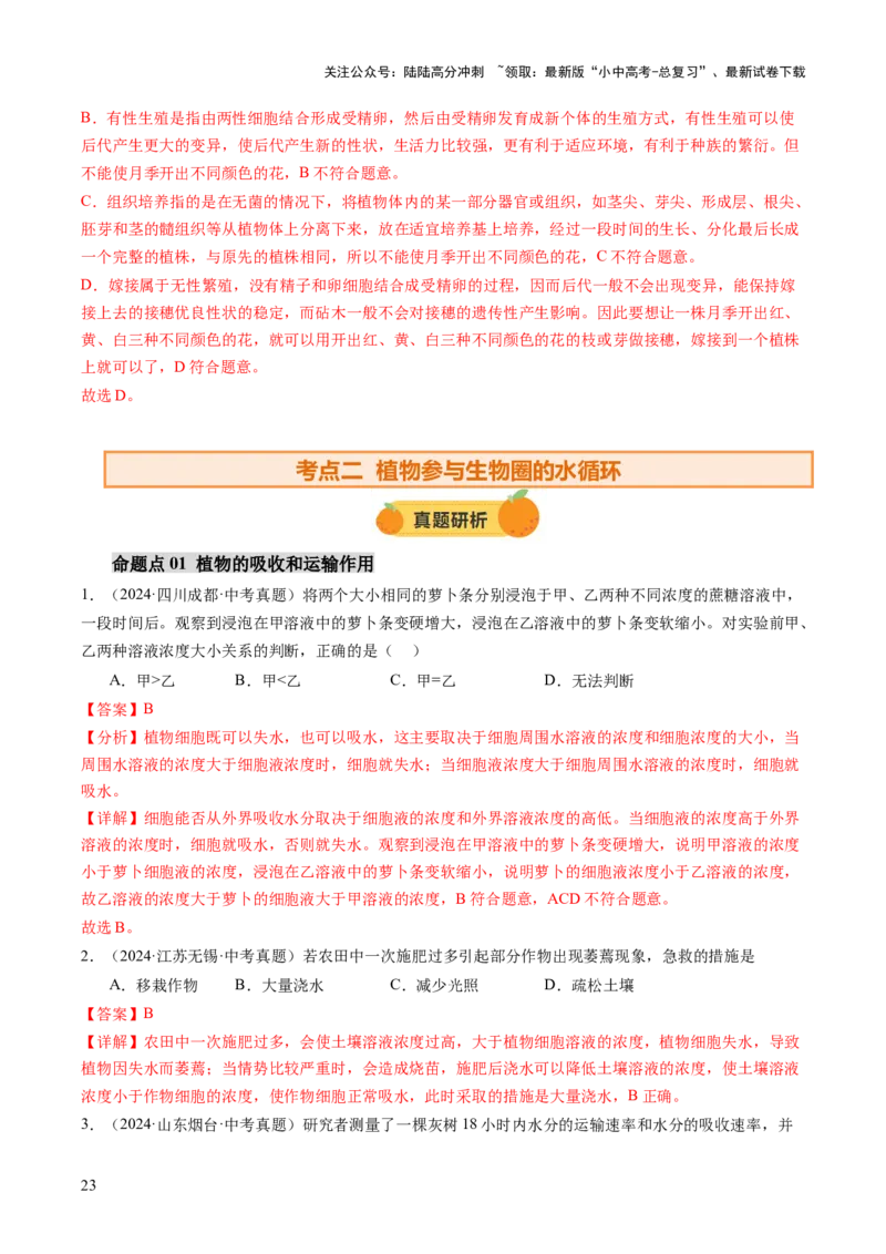主题四植物的生活（讲练）（解析版）_02中考总复习（2026版更新中）_08-生物-中考总复习_2025中考复习资料_2025中考二轮课件ppt+讲义+练习生物_讲义+练习
