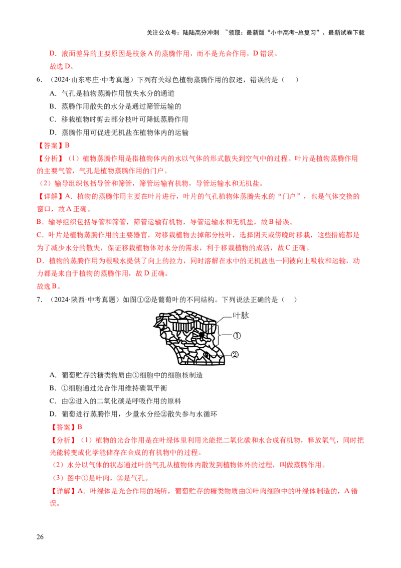 主题四植物的生活（讲练）（解析版）_02中考总复习（2026版更新中）_08-生物-中考总复习_2025中考复习资料_2025中考二轮课件ppt+讲义+练习生物_讲义+练习