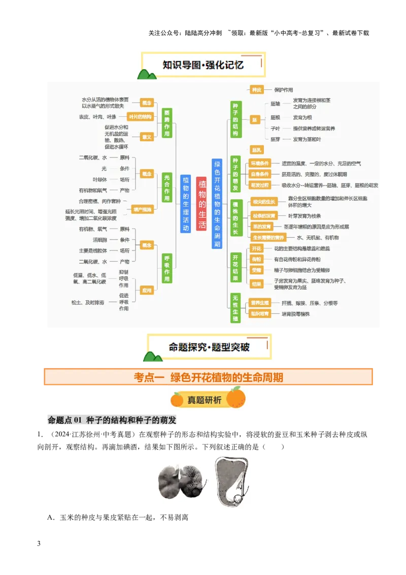 主题四植物的生活（讲练）（解析版）_02中考总复习（2026版更新中）_08-生物-中考总复习_2025中考复习资料_2025中考二轮课件ppt+讲义+练习生物_讲义+练习