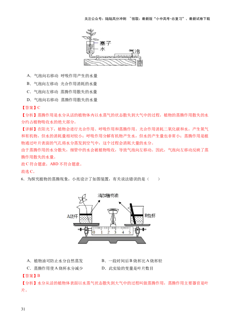 主题四植物的生活（讲练）（解析版）_02中考总复习（2026版更新中）_08-生物-中考总复习_2025中考复习资料_2025中考二轮课件ppt+讲义+练习生物_讲义+练习