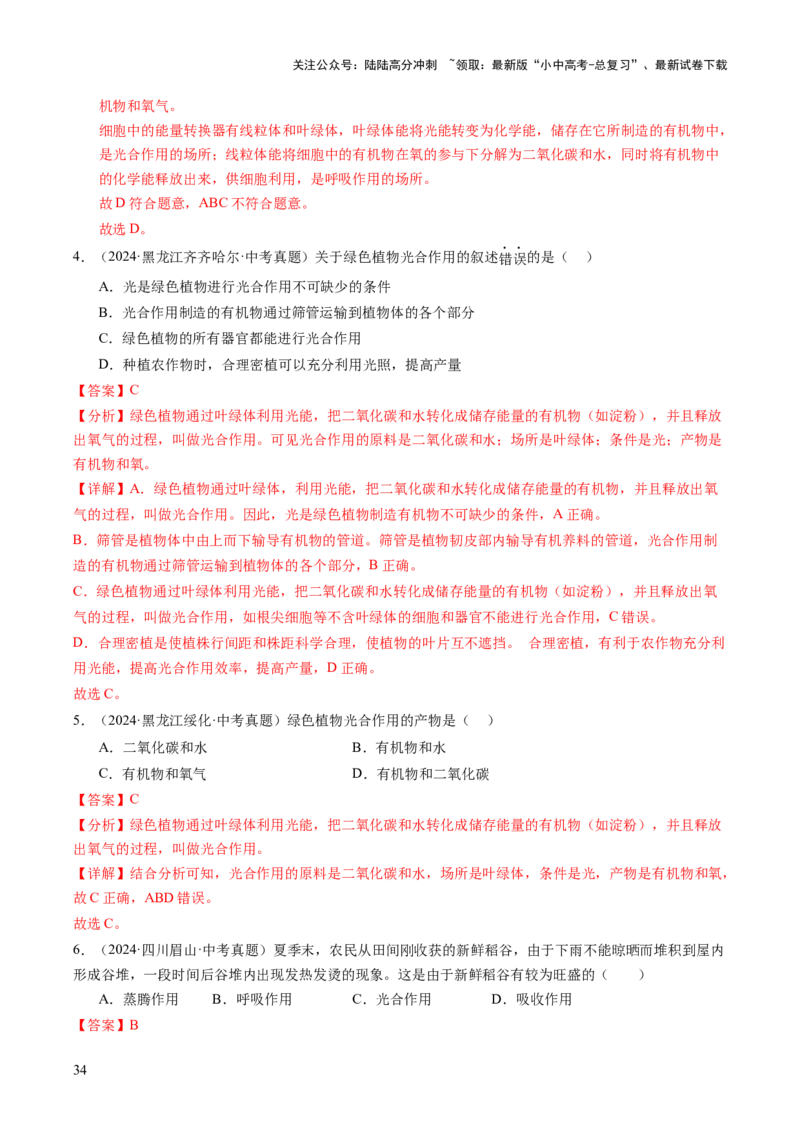 主题四植物的生活（讲练）（解析版）_02中考总复习（2026版更新中）_08-生物-中考总复习_2025中考复习资料_2025中考二轮课件ppt+讲义+练习生物_讲义+练习