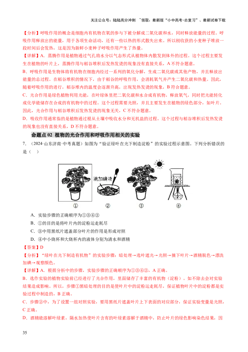 主题四植物的生活（讲练）（解析版）_02中考总复习（2026版更新中）_08-生物-中考总复习_2025中考复习资料_2025中考二轮课件ppt+讲义+练习生物_讲义+练习