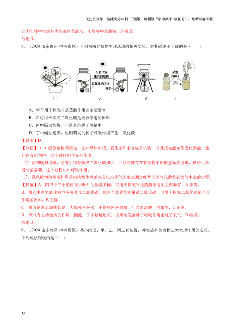 主题四植物的生活（讲练）（解析版）_02中考总复习（2026版更新中）_08-生物-中考总复习_2025中考复习资料_2025中考二轮课件ppt+讲义+练习生物_讲义+练习