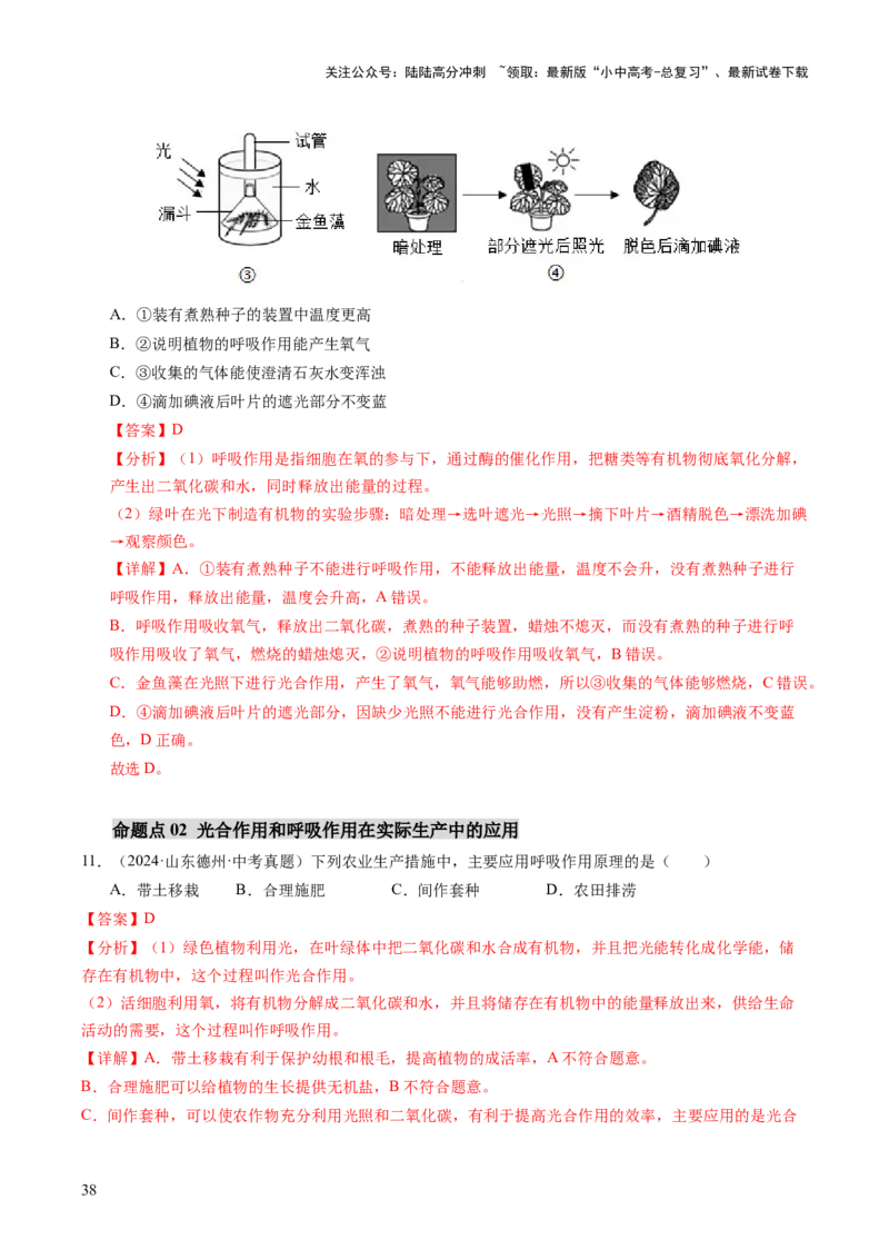 主题四植物的生活（讲练）（解析版）_02中考总复习（2026版更新中）_08-生物-中考总复习_2025中考复习资料_2025中考二轮课件ppt+讲义+练习生物_讲义+练习