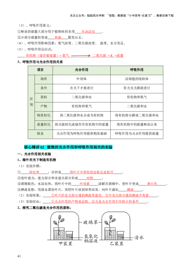 主题四植物的生活（讲练）（解析版）_02中考总复习（2026版更新中）_08-生物-中考总复习_2025中考复习资料_2025中考二轮课件ppt+讲义+练习生物_讲义+练习
