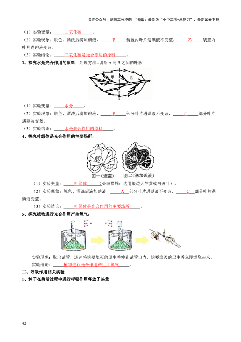 主题四植物的生活（讲练）（解析版）_02中考总复习（2026版更新中）_08-生物-中考总复习_2025中考复习资料_2025中考二轮课件ppt+讲义+练习生物_讲义+练习