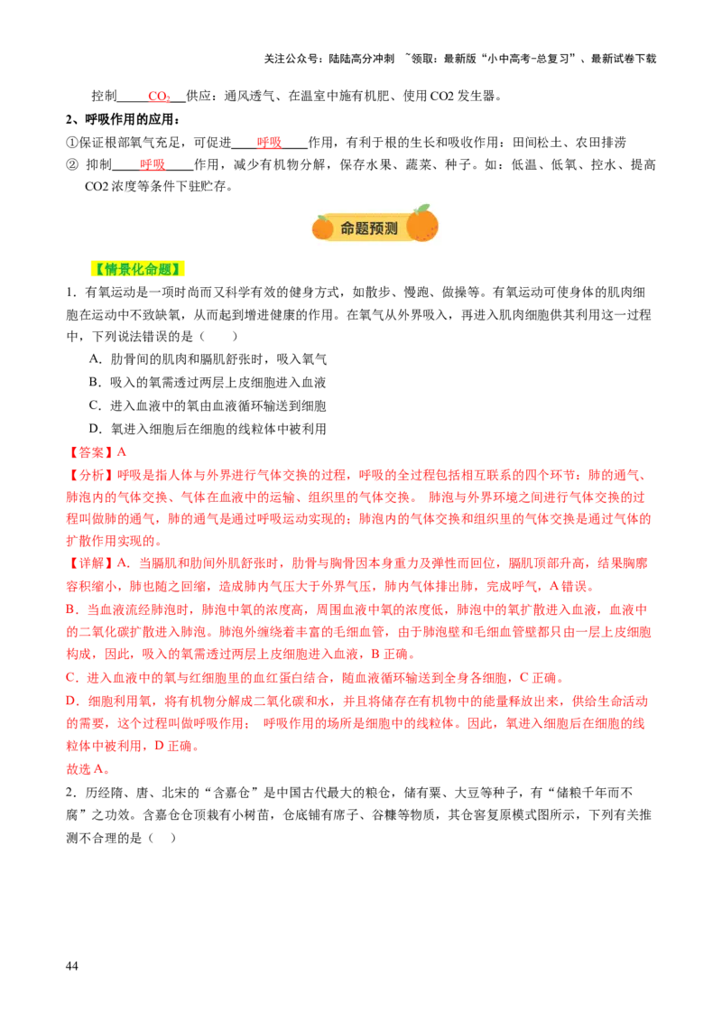 主题四植物的生活（讲练）（解析版）_02中考总复习（2026版更新中）_08-生物-中考总复习_2025中考复习资料_2025中考二轮课件ppt+讲义+练习生物_讲义+练习