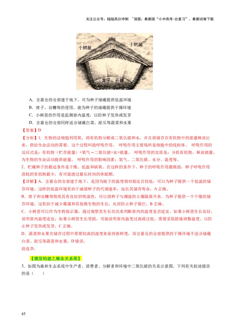 主题四植物的生活（讲练）（解析版）_02中考总复习（2026版更新中）_08-生物-中考总复习_2025中考复习资料_2025中考二轮课件ppt+讲义+练习生物_讲义+练习