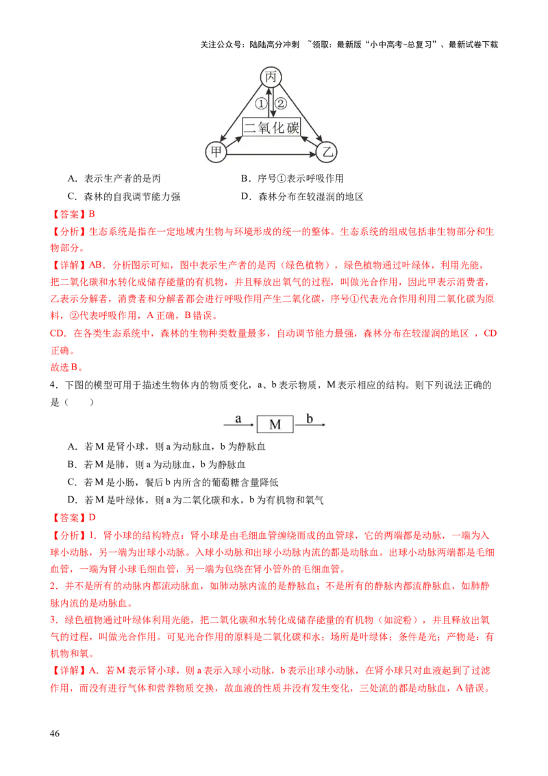 主题四植物的生活（讲练）（解析版）_02中考总复习（2026版更新中）_08-生物-中考总复习_2025中考复习资料_2025中考二轮课件ppt+讲义+练习生物_讲义+练习