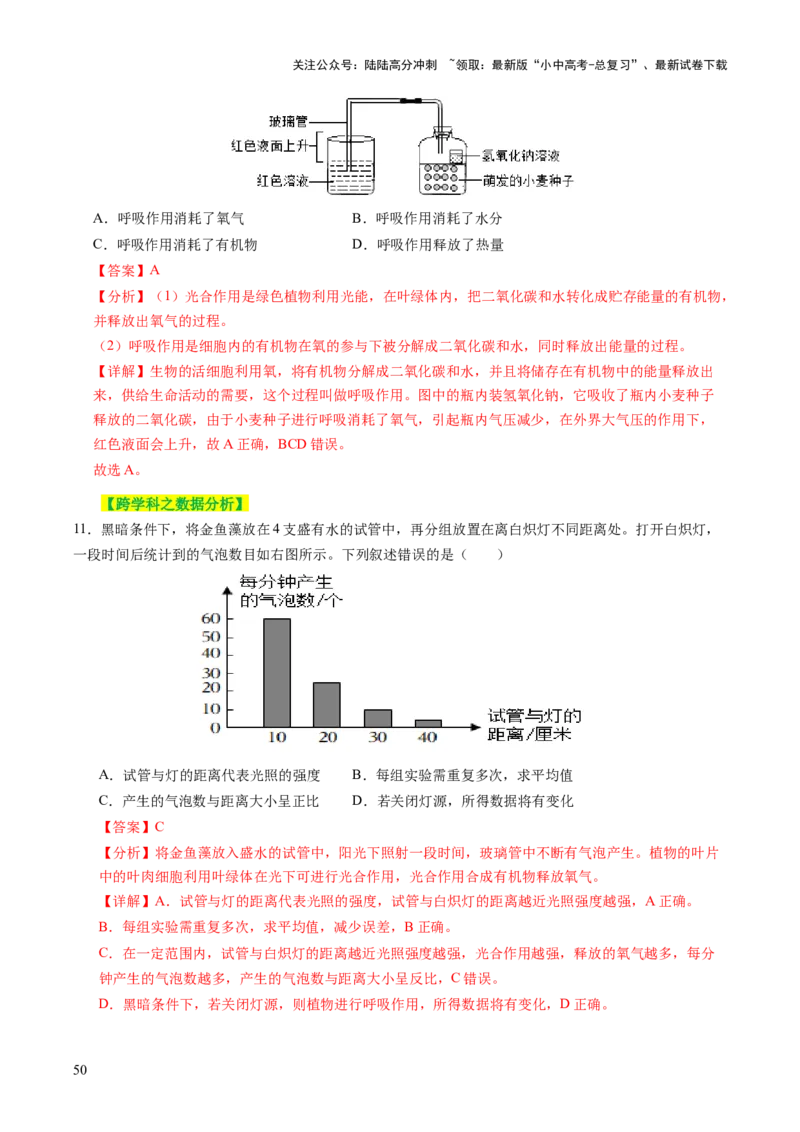 主题四植物的生活（讲练）（解析版）_02中考总复习（2026版更新中）_08-生物-中考总复习_2025中考复习资料_2025中考二轮课件ppt+讲义+练习生物_讲义+练习