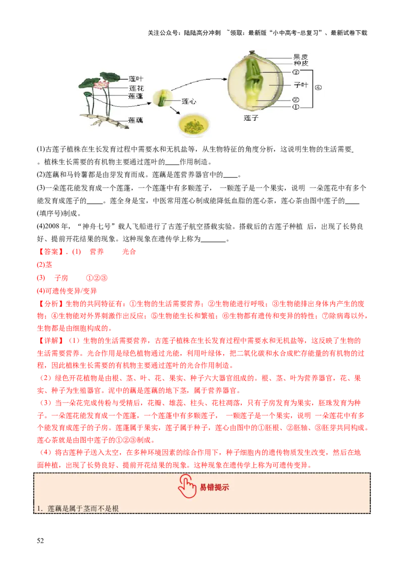 主题四植物的生活（讲练）（解析版）_02中考总复习（2026版更新中）_08-生物-中考总复习_2025中考复习资料_2025中考二轮课件ppt+讲义+练习生物_讲义+练习