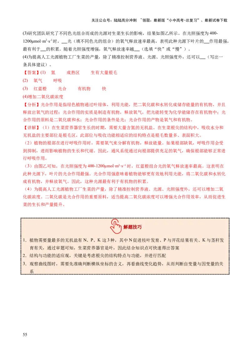 主题四植物的生活（讲练）（解析版）_02中考总复习（2026版更新中）_08-生物-中考总复习_2025中考复习资料_2025中考二轮课件ppt+讲义+练习生物_讲义+练习