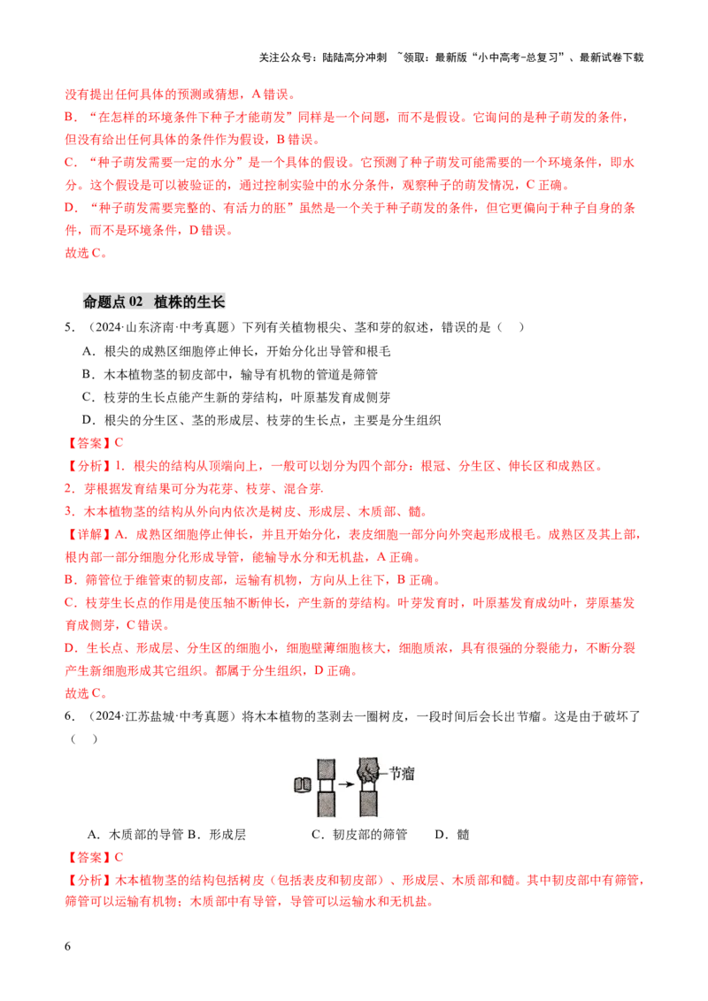主题四植物的生活（讲练）（解析版）_02中考总复习（2026版更新中）_08-生物-中考总复习_2025中考复习资料_2025中考二轮课件ppt+讲义+练习生物_讲义+练习